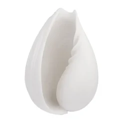 Adorno Conch concha, Small