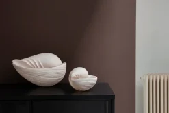 Adorno Conch concha, Small