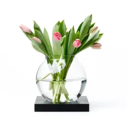 Adorno Space, Roble teñido de negro, vidrio