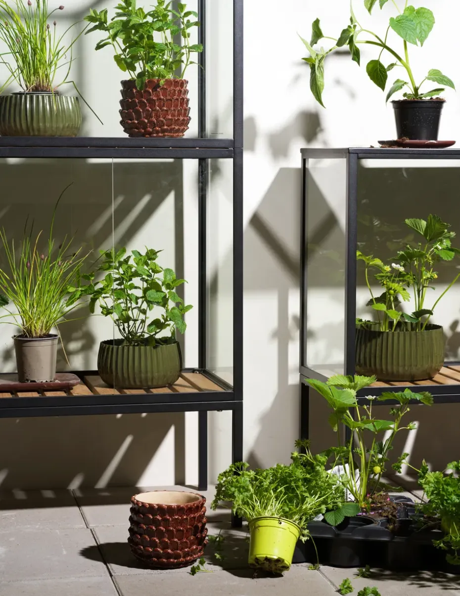 Armario para plantas Grower Greens, Negro, 81x82 cm