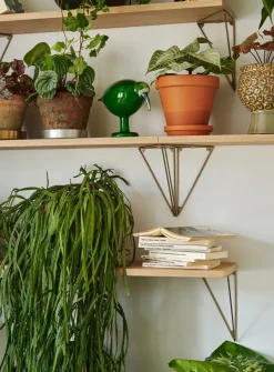 Balda Pythagoras, roble