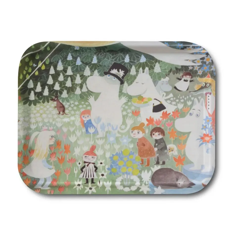 Bandeja Dangerous Journey, 27 x 20 cm