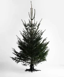 Base para árbol de Navidad Garden Glory, Black matte
