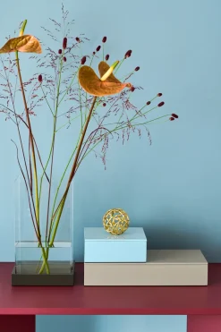 Caja de almacenamiento lacada Lux 38x19x7 cm, Fawn