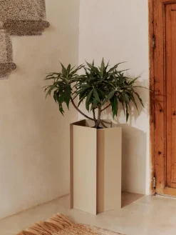 Caja de plantación Fragma 49x27,5 cm, Cashmere