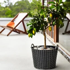 Cesta de alambre Korbo Classic 24, acero resistente a los ácidos