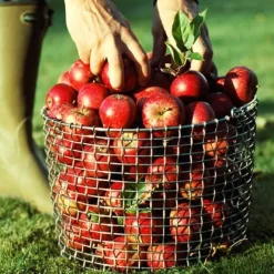 Cesta metálica Korbo Bucket 20, acero a prueba de ácidos