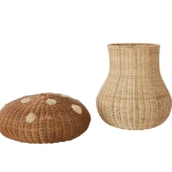 Cesta Mushroom, Nature