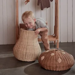 Cesta Mushroom, Nature