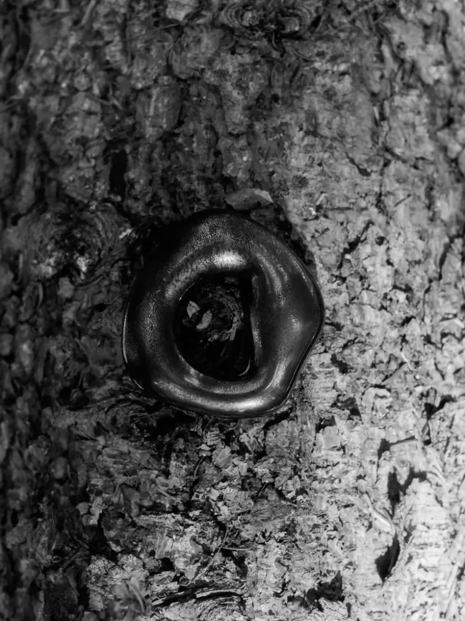 Colgante decorativo Orrith 2 piezas, Rustic Bronze