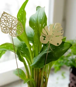 Decoración Brass leaves, set de 2, Water