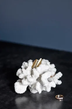 Decoración Coral branches white, Small