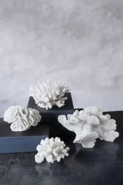 Decoración Coral branches white, Small