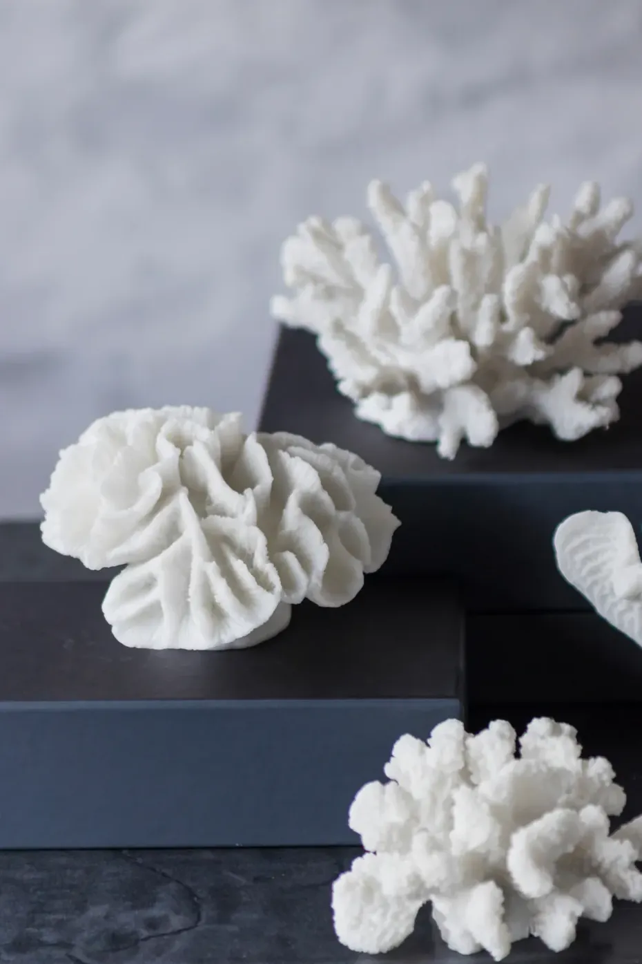 Decoración Coral branches white, Large