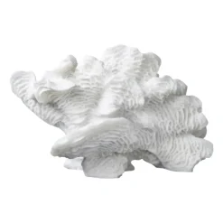 Decoración Coral fan, White