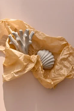 Escultura The Clam Shell 13 cm, Limestone