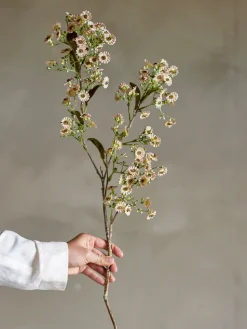 Flor de cera Stem, Blanco