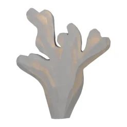 Gancho Harbour, Planta marina, Mist blue