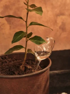 Globos de riego Mercury 2 piezas, Clear, 12x18,5 cm