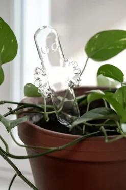 Globos de riego Mumin, Transparente