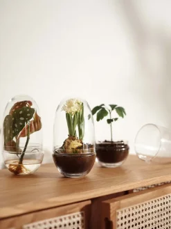 Invernadero Grow, Medium ø11 cm