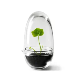 Invernadero Grow, Pequeño ø8 cm