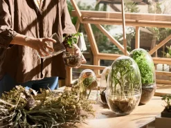 Invernadero Grow, x-large Ø20 cm