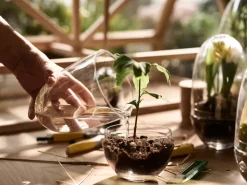 Invernadero Grow, x-large Ø20 cm