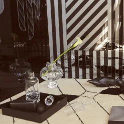 Jarrón Balloon 20 cm, transparente