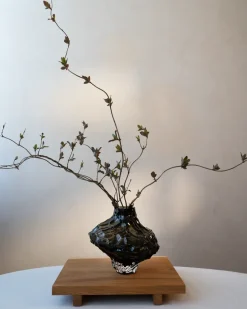 Jarrón Canyon Large 23 cm, New smoke