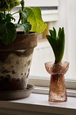 Jarrón para jacintos Flor, Marrón