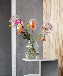 Jarrón Silent Ø20 cm, Clear