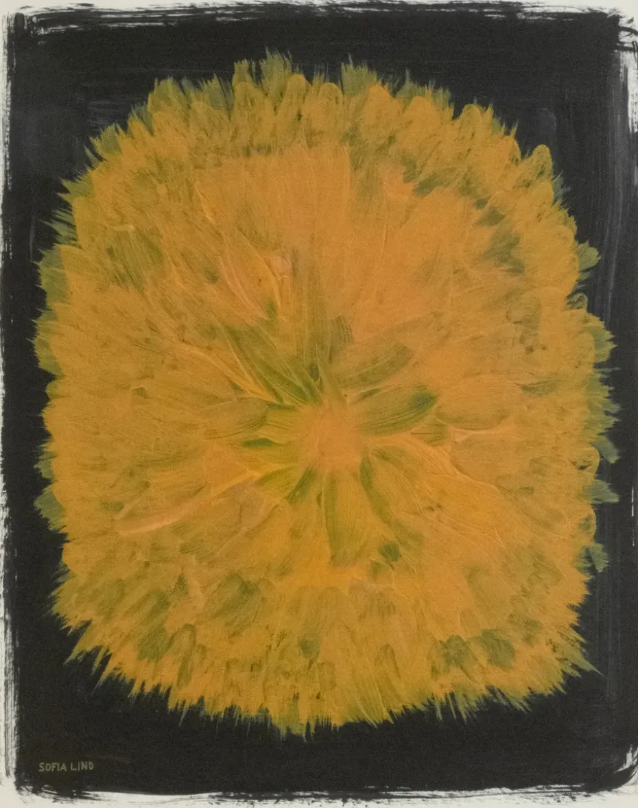 Lámina Dandelion 40x50 cm, amarillo-negro