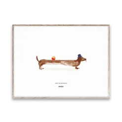 Lámina Doug the Dachshund, 30x40 cm