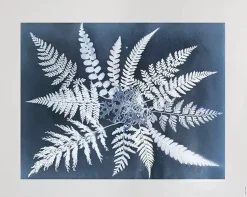 Lámina Fern star, 40x50 cm