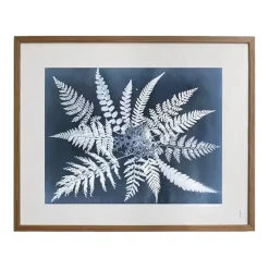 Lámina Fern star, 40x50 cm