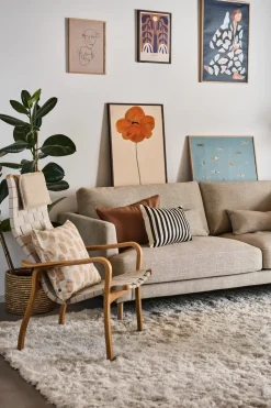 Lámina Skrud Snäcka, 50x70 cm