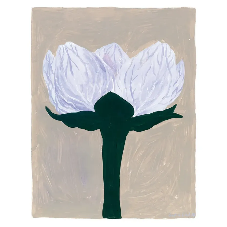 Lámina Slåtterblomma, 40x50 cm