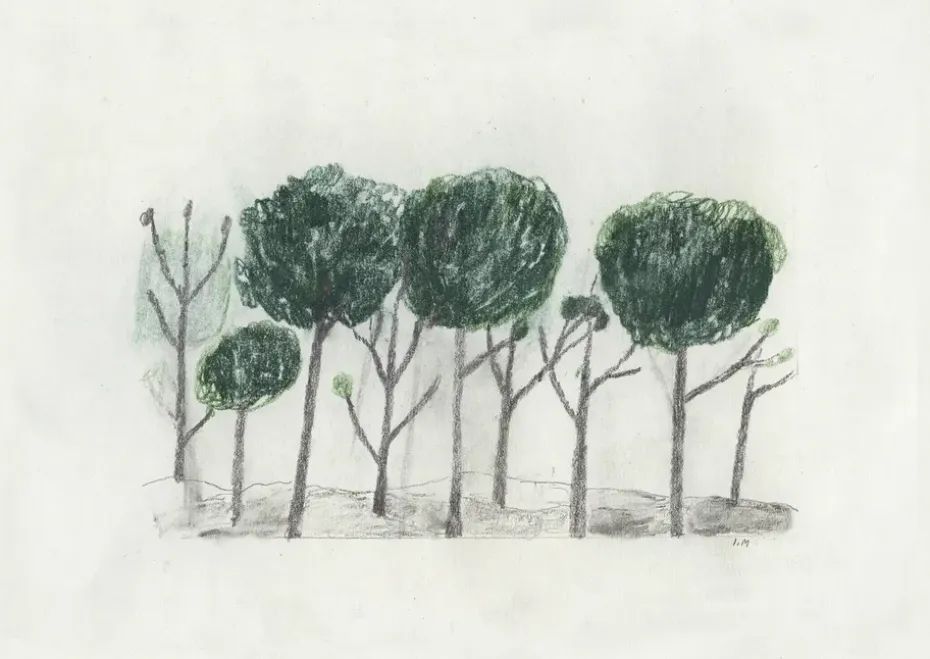 Lámina Trees 50x70 cm, negro- off white