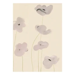 Lámina White Vallmo, 30x40 cm