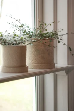 Maceta Ø13 cm con plato Grow, Creme structure