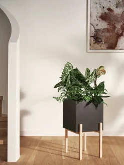 Maceta Botanic pedestal, negro-fresno