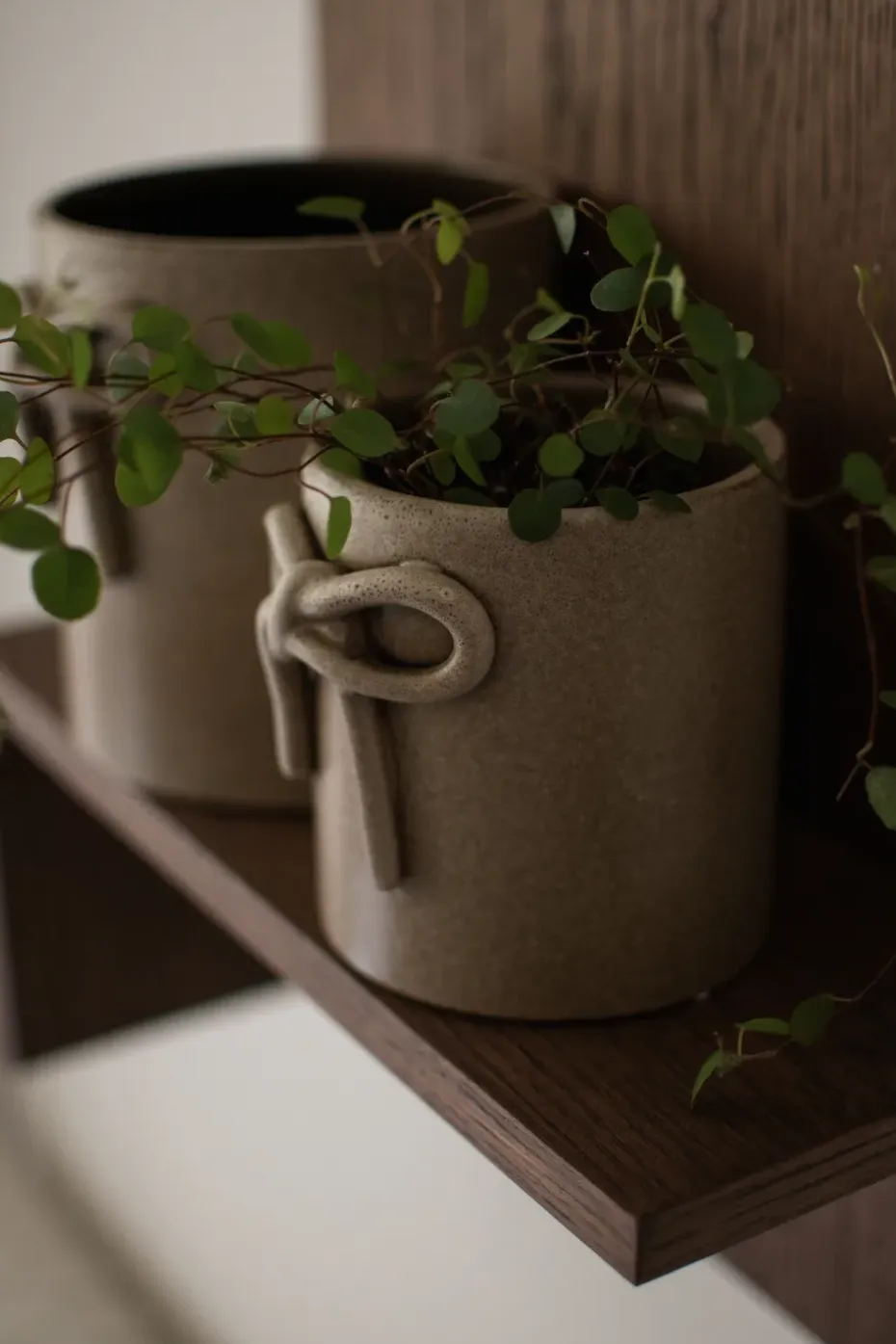 Maceta Bow Ø11 cm, Beige