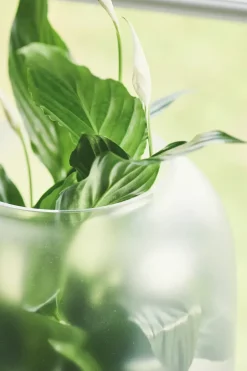 Maceta con cristal pavonado Nebl Ø26 cm, Negro