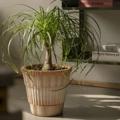 Maceta con plato Atlas raw, Rosa, Ø25 cm