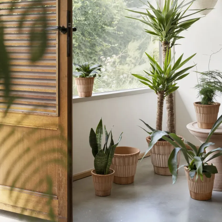 Maceta con plato Atlas raw, Rosa, Ø18 cm