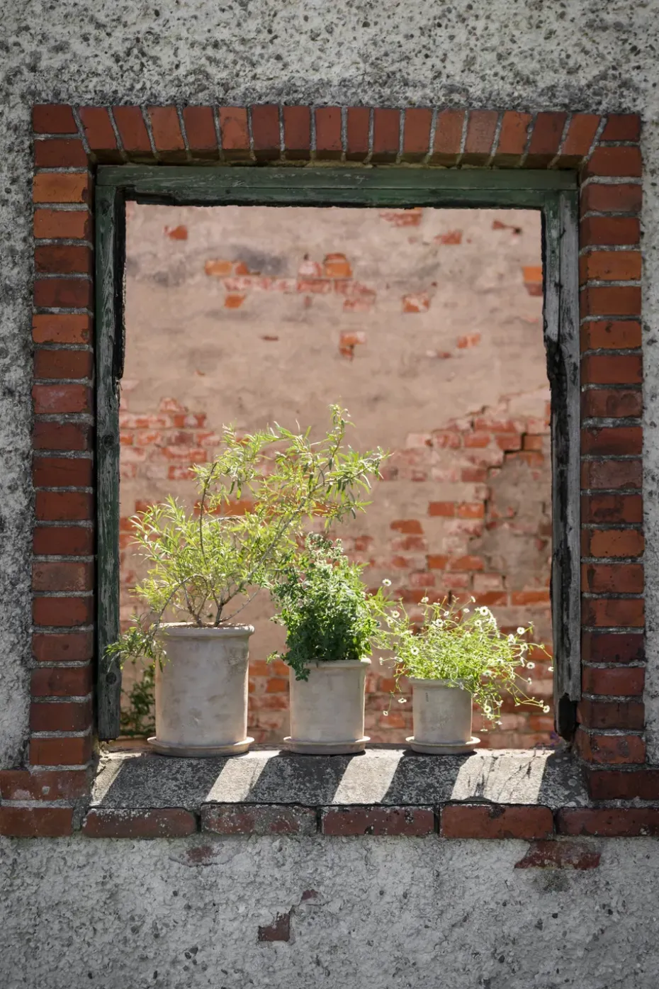 Maceta de terracota Ernst con plato, Ø16×16 cm