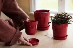 Maceta Elise S Ø14 cm, Burdeos