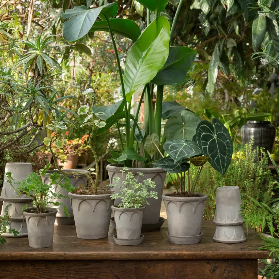 Maceta Elizabeth Ø12 cm, Grey