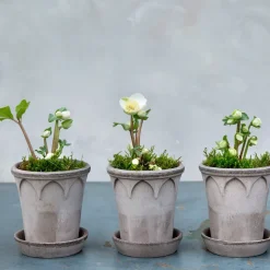 Maceta Elizabeth Ø12 cm, Grey